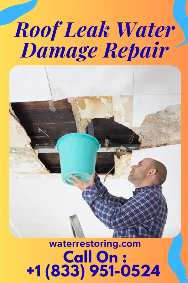 Roof Leak Water Damage Repair in Throckmorton, TX
